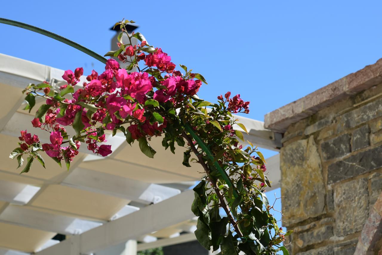 Cozy Residences In The Center Of Volissos Village - Lydia Lithos- エクステリア 写真