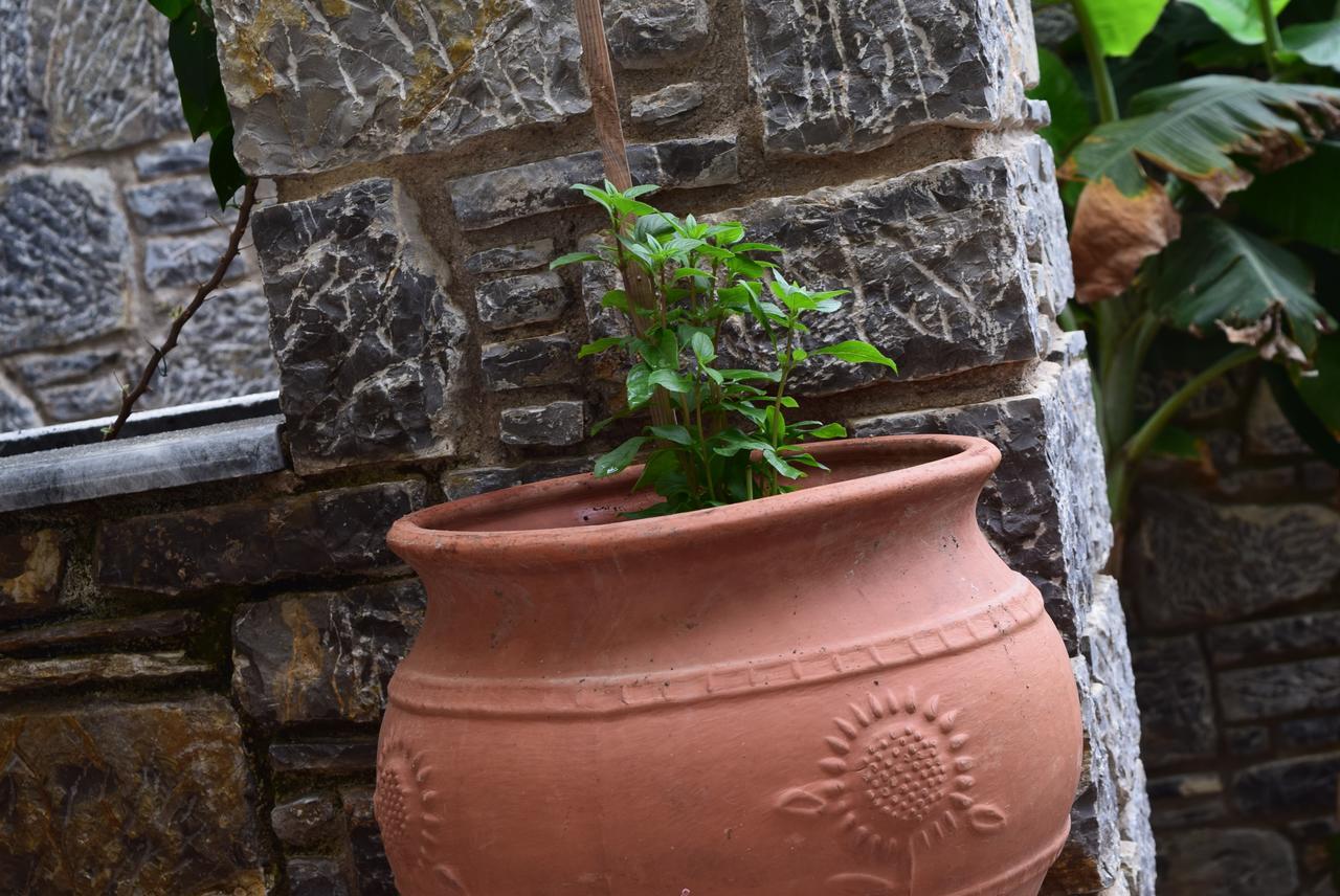 Cozy Residences In The Center Of Volissos Village - Lydia Lithos- エクステリア 写真